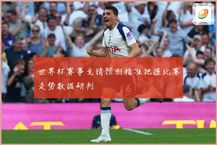 世界杯赛事竞猜预测精准把握比赛走势数据研判