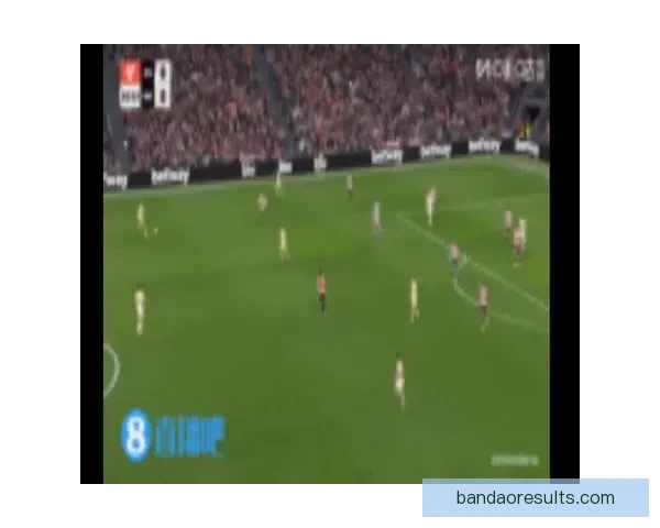 2026世界杯射手榜最新战况揭晓球员进球排名全解析